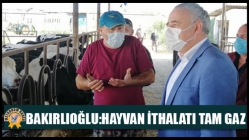 Bakırlıoğlu: Hayvan İthalatı Tam Gaz