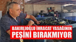 Bakırlıoğlu İhracat Yasağının Peşini Bırakmıyor