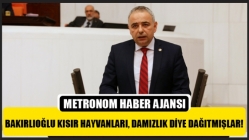 Bakırlıoğlu Kısır Hayvanları, Damızlık Diye Dağıtmışlar!