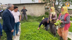 Bakırlıoğlu Tütüncüleri Dinledi