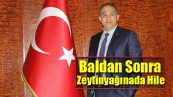 BALDAN SONRA SIRA ZEYTİNYAĞINDA