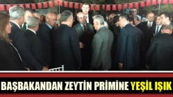 Başbakandan zeytin primine yeşil ışık