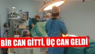 Bir Can Gitti, Üç Can Geldi