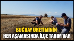 Buğday Üretiminin Her Aşamasında İlçe Tarım Var