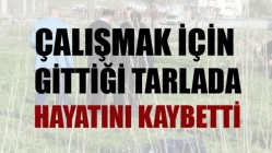 Çalışmak için gittiği tarlada hayatını kaybetti