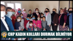 CHP Kadın kolları durmak bilmiyor