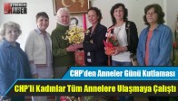 CHP’li Kadınlar Tüm Annelere Ulaşmaya Çalıştı