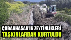 Çobanhasan’ın Zeytinlikleri Taşkınlardan Kurtuldu