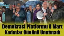 Demokrasi Platformu 8 Mart Kadınlar Gününü Unutmadı