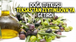 Doğa tutkusu Teksas'tan Zeytinliova'ya getirdi