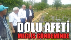 Dolu Afeti Meclis Gündeminde