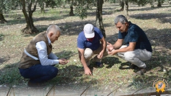 Doludan Zarar Gören Arazilerde Hasar Tespit Çalışmaları Yapılıyor