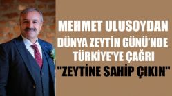 Dünya Zeytin Günü’nde Türkiye'ye Çağrı:"Zeytine Sahip Çıkın