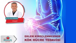 Eklem Kireçlenmesinde Kök Hücre Tedavisi