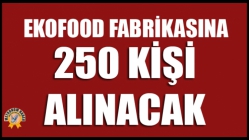 Ekofood Fabrikasına 250 Kişi Alınacak