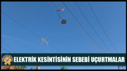 Elektrik Kesintisinin Sebebi Uçurtmalar