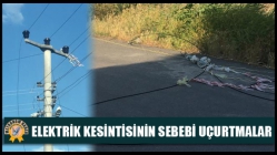 Elektrik Kesintisinin Sebebi Uçurtmalar