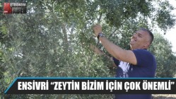 Ensivri “Zeytin bizim için çok önemli”