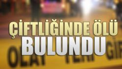 Evinde Ölü Bulundu