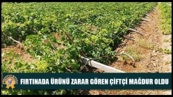 Fırtınada ürünü zarar gören çiftçi mağdur oldu