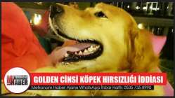 Hacıishak Mahallesinde Golden Cinsi Köpek Hırsızlığı İddiası