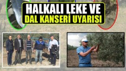 Halkalı Leke Ve Dal Kanseri Uyarısı