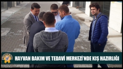 Hayvan Bakım Ve Tedavi Merkezi’nde Kış Hazırlığı