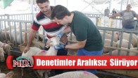 Hayvan Pazarında Denetimler Aralıksız Sürüyor