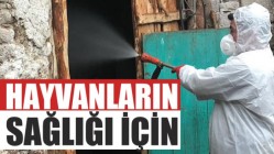 Hayvanların Sağlığı İçin