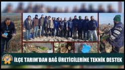 İlçe Tarım’dan Bağ Üreticilerine Teknik Destek