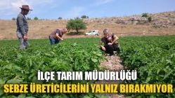 İlçe Tarım Müdürlüğü Sebze Üreticilerini Yalnız Bırakmıyor