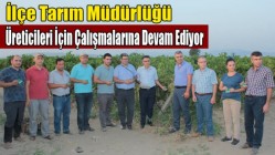 İlçe Tarım Müdürlüğü Üreticileri İçin Çalışmalarına Devam Ediyor