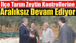 İlçe Tarım Zeytin Kontrollerine Aralıksız Devam Ediyor