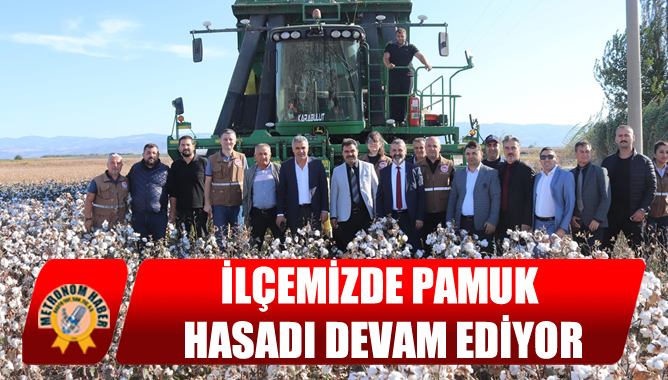 İlçemizde Pamuk Hasadı Devam Ediyor