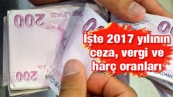 İşte 2017 yılında uygulanacak vergi, harç ve cezalar