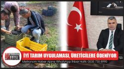 İyi Tarım Uygulaması Desteklemeleri Üreticilere Ödeniyor