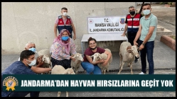 Jandarma’dan hayvan hırsızlarına geçit yok