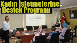 Kadın İşletmelerine Desteği Programı