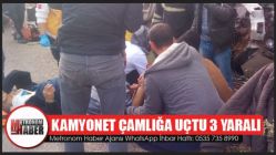 Kamyonet Çamlığa Uçtu 3 Yaralı