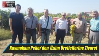 Kaymakam Peker’den Üzüm Üreticilerine Ziyaret