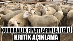 KURBANLIK FİYATLARIYLA İLGİLİ KRİTİK AÇIKLAMA