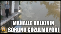 Mahalle Halkının Sorunu Çözülmüyor