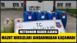 Mazot Hırsızları Jandarmadan Kaçamadı