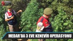 Medar Mahallesinde 3 eve kenevir operasyonu