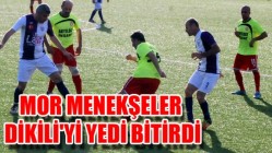 Mor Menekşeler Dikili'yi Yedi Bitirdi