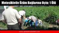 Motosikletle Üzüm Bağlarına Uçtu: 1 Ölü