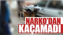 Narko'dan Kaçamadı