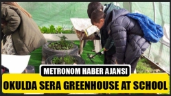 Okulda Sera Greenhouse At School