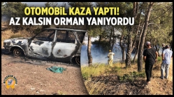 Otomobil Kaza Yaptı! Az Kalsın Orman Yanıyordu