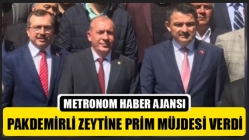 Pakdemirli Zeytine Prim Müjdesi Verdi